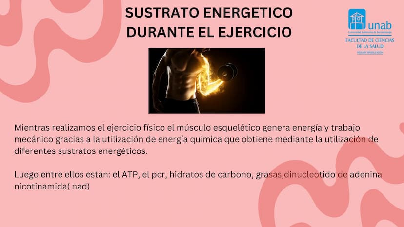 TEJIDO MUSCULAR
Hunab
Universidad Autónoma de Bucaramanga
FACULTAD DE CIENCIAS
DE LA SALUD
VIGILADA MINEDUCACIÓN ¿Qué es?
El tejido muscular