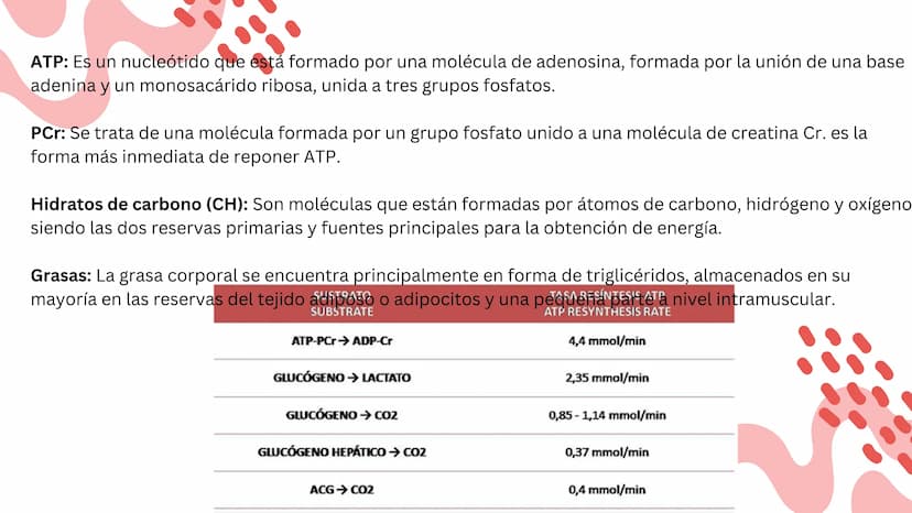 TEJIDO MUSCULAR
Hunab
Universidad Autónoma de Bucaramanga
FACULTAD DE CIENCIAS
DE LA SALUD
VIGILADA MINEDUCACIÓN ¿Qué es?
El tejido muscular