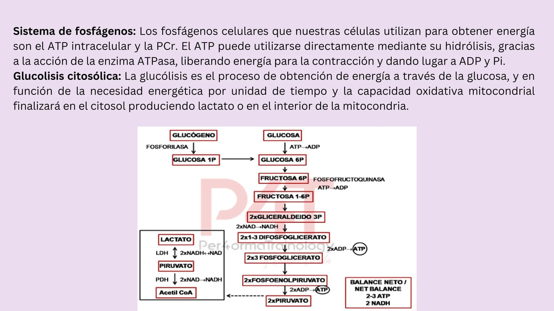 TEJIDO MUSCULAR
Hunab
Universidad Autónoma de Bucaramanga
FACULTAD DE CIENCIAS
DE LA SALUD
VIGILADA MINEDUCACIÓN ¿Qué es?
El tejido muscular