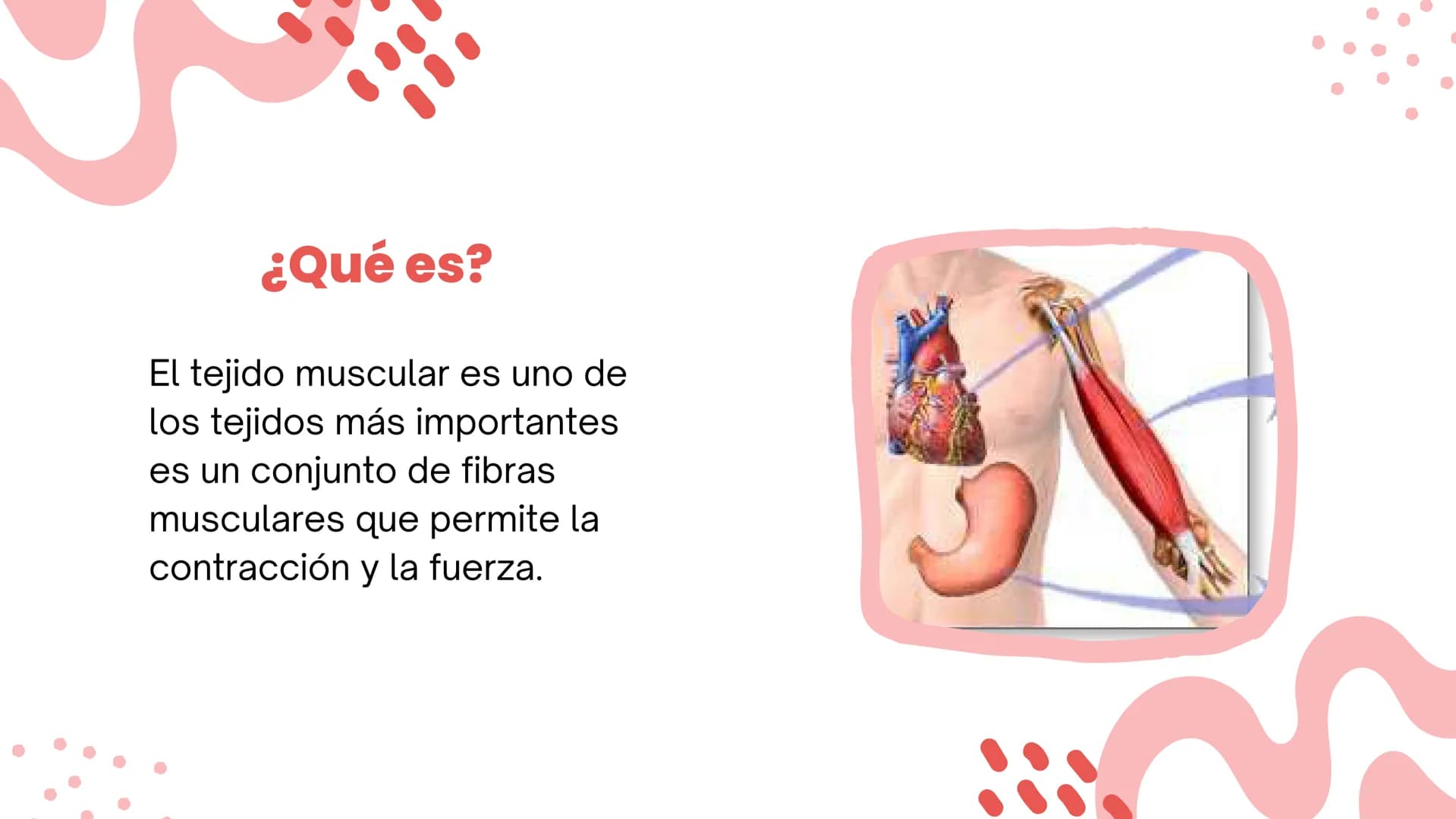 TEJIDO MUSCULAR
Hunab
Universidad Autónoma de Bucaramanga
FACULTAD DE CIENCIAS
DE LA SALUD
VIGILADA MINEDUCACIÓN ¿Qué es?
El tejido muscular