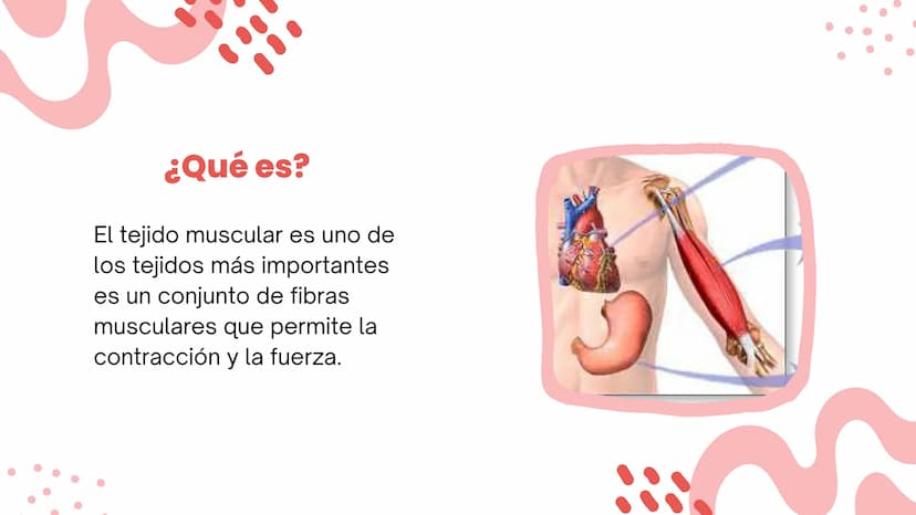 TEJIDO MUSCULAR
Hunab
Universidad Autónoma de Bucaramanga
FACULTAD DE CIENCIAS
DE LA SALUD
VIGILADA MINEDUCACIÓN ¿Qué es?
El tejido muscular