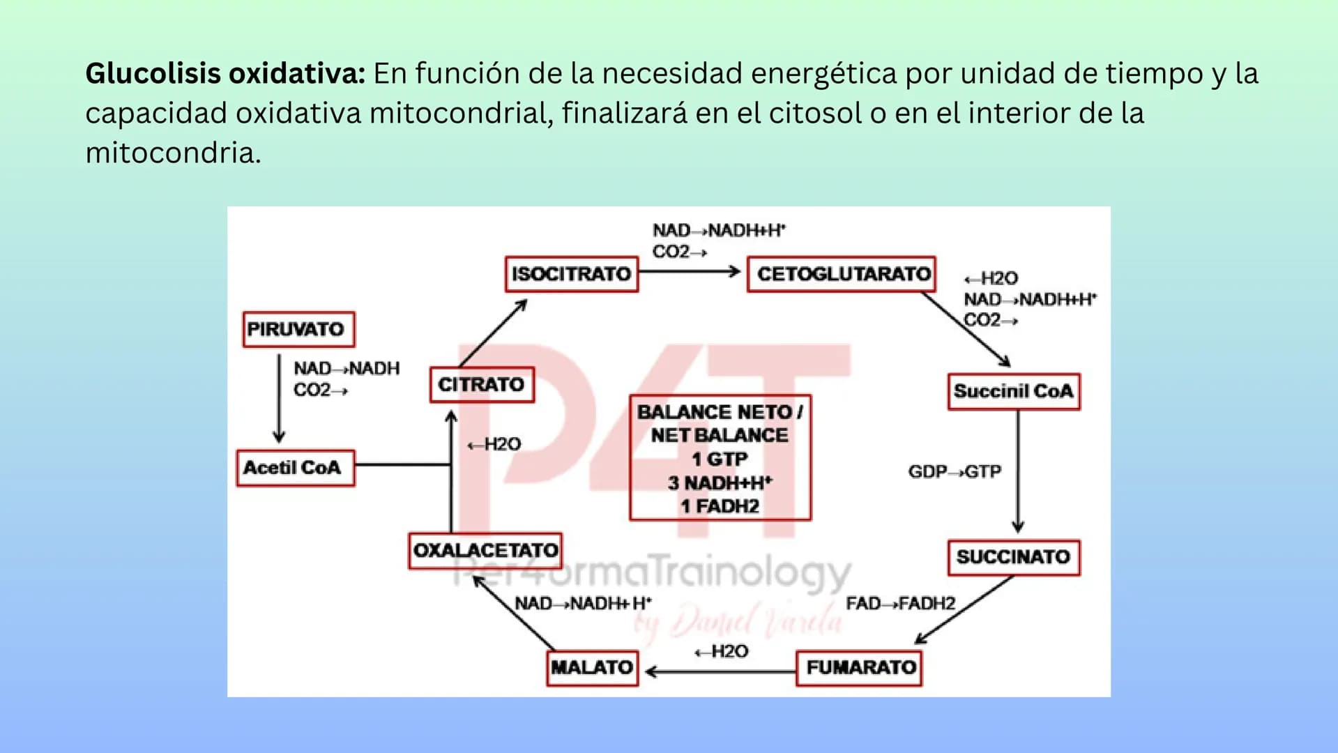 TEJIDO MUSCULAR
Hunab
Universidad Autónoma de Bucaramanga
FACULTAD DE CIENCIAS
DE LA SALUD
VIGILADA MINEDUCACIÓN ¿Qué es?
El tejido muscular