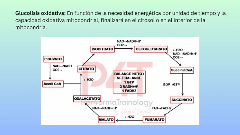 TEJIDO MUSCULAR
Hunab
Universidad Autónoma de Bucaramanga
FACULTAD DE CIENCIAS
DE LA SALUD
VIGILADA MINEDUCACIÓN ¿Qué es?
El tejido muscular
