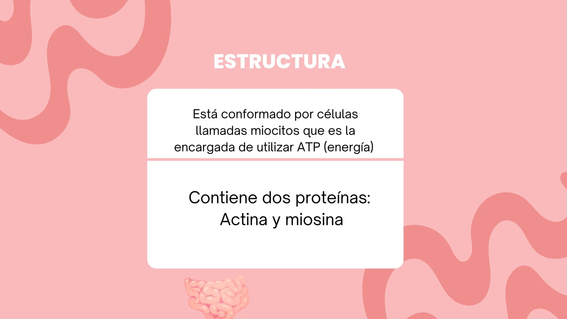 TEJIDO MUSCULAR
Hunab
Universidad Autónoma de Bucaramanga
FACULTAD DE CIENCIAS
DE LA SALUD
VIGILADA MINEDUCACIÓN ¿Qué es?
El tejido muscular