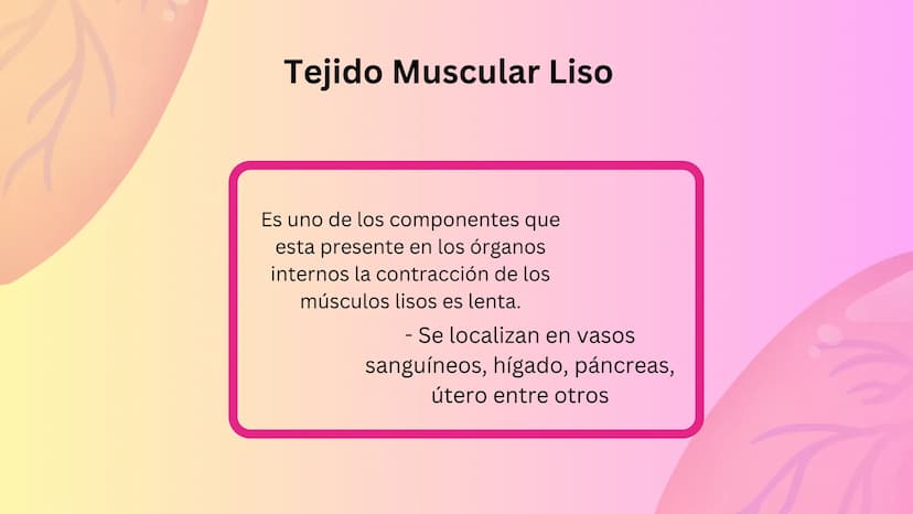 TEJIDO MUSCULAR
Hunab
Universidad Autónoma de Bucaramanga
FACULTAD DE CIENCIAS
DE LA SALUD
VIGILADA MINEDUCACIÓN ¿Qué es?
El tejido muscular