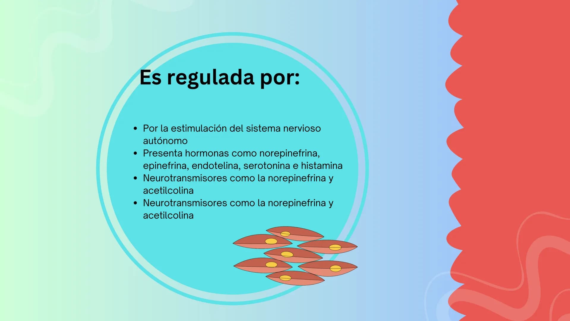 TEJIDO MUSCULAR
Hunab
Universidad Autónoma de Bucaramanga
FACULTAD DE CIENCIAS
DE LA SALUD
VIGILADA MINEDUCACIÓN ¿Qué es?
El tejido muscular