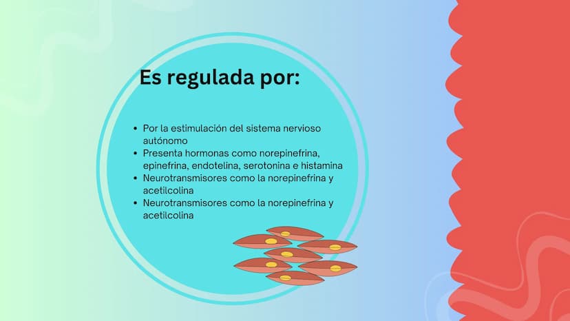 TEJIDO MUSCULAR
Hunab
Universidad Autónoma de Bucaramanga
FACULTAD DE CIENCIAS
DE LA SALUD
VIGILADA MINEDUCACIÓN ¿Qué es?
El tejido muscular
