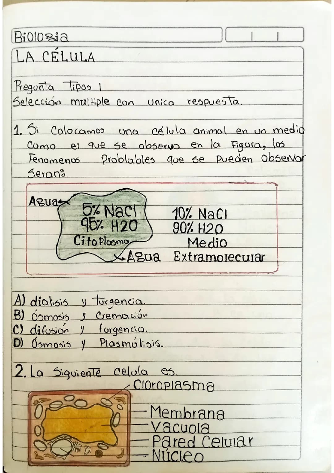 La célula 