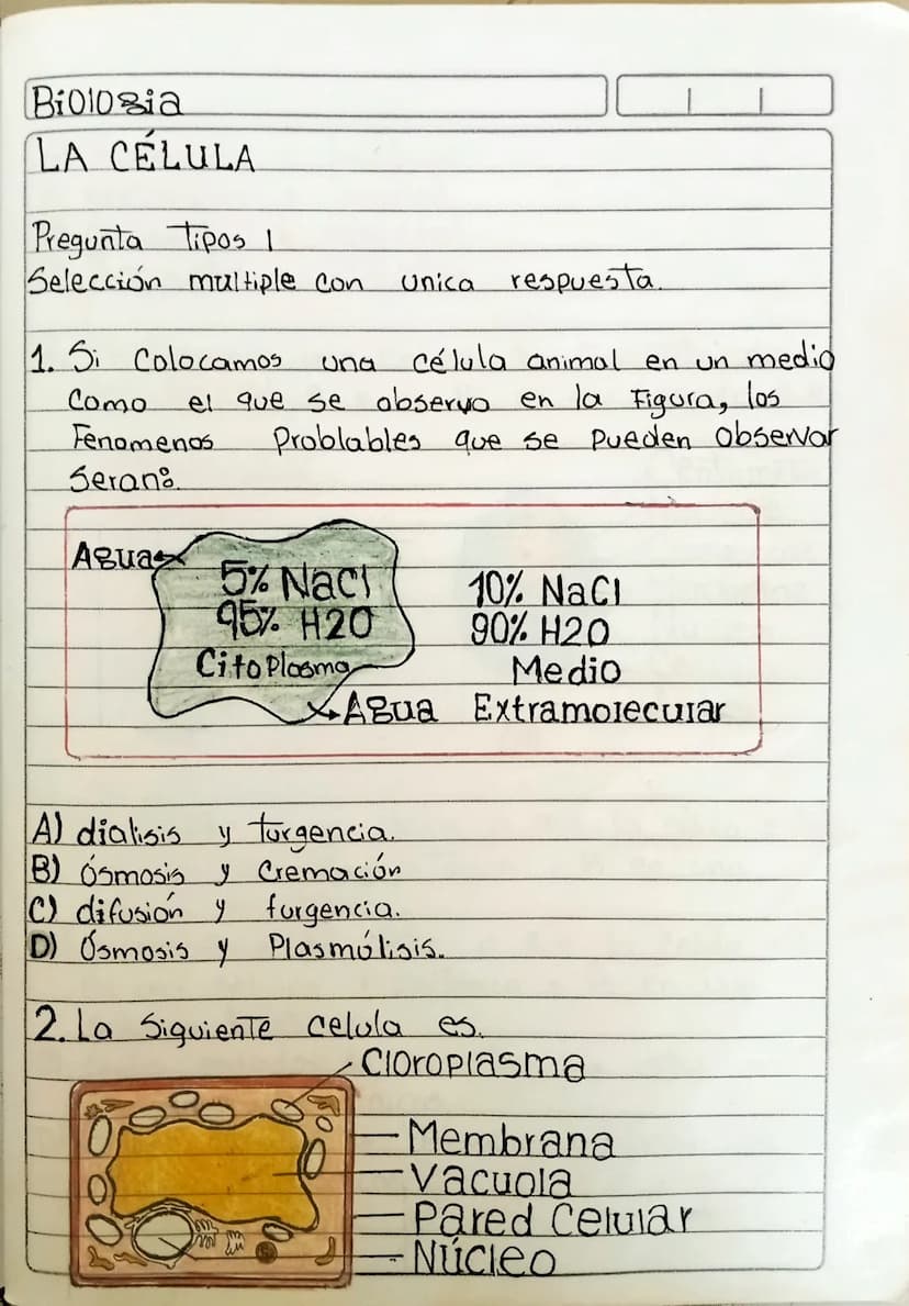 Biologia
LA CELULA
Pregunta Tipos 1
Selección multiple con
1. Si colocamos
Como
una
Unica respuesta.
célula animal en un medio
el que se obs