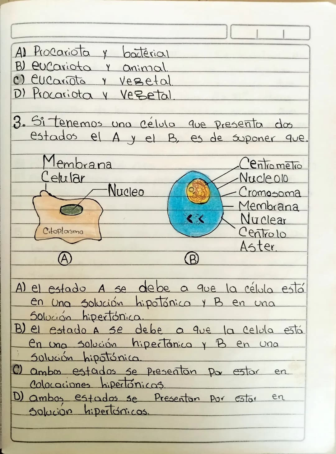 Biologia
LA CELULA
Pregunta Tipos 1
Selección multiple con
1. Si colocamos
Como
una
Unica respuesta.
célula animal en un medio
el que se obs