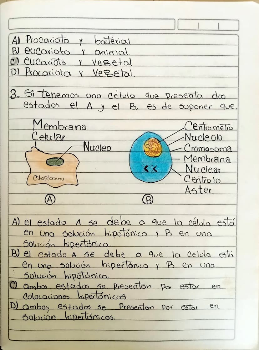 Biologia
LA CELULA
Pregunta Tipos 1
Selección multiple con
1. Si colocamos
Como
una
Unica respuesta.
célula animal en un medio
el que se obs