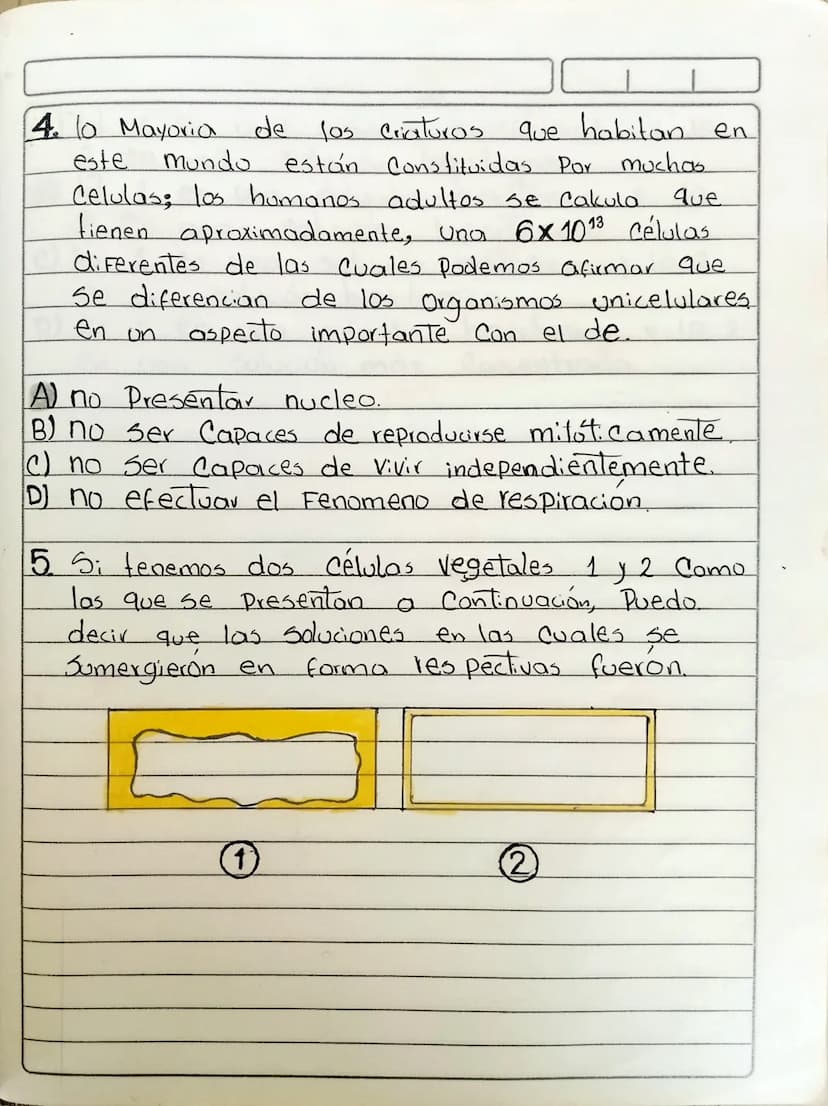 Biologia
LA CELULA
Pregunta Tipos 1
Selección multiple con
1. Si colocamos
Como
una
Unica respuesta.
célula animal en un medio
el que se obs