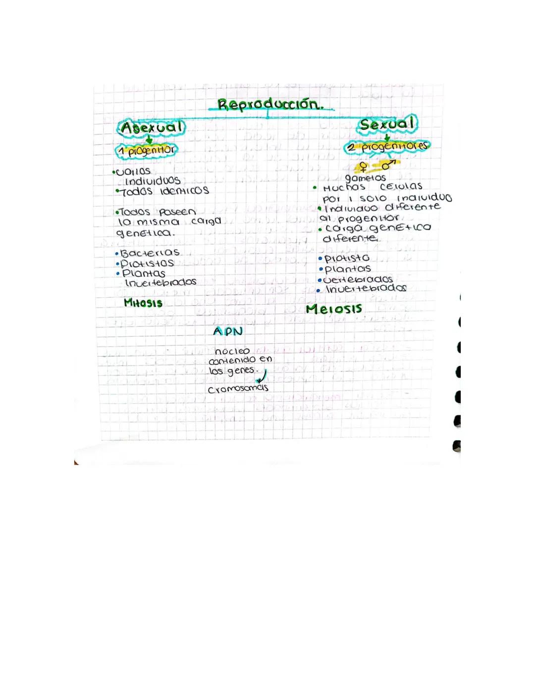 Reproducción.
Asexual
ProgenHor
001105
Individuos
Todos identicos
Todos poseen
la misma
genetica.
carga
•Bacterias.
•Protistos
•Plantas
Inve