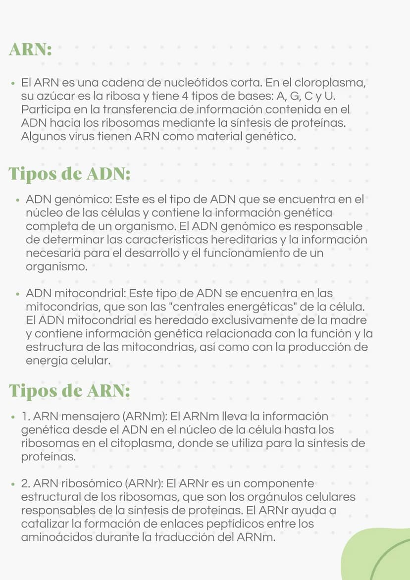 ADN Y ARN ADN partes
1000
ADN
= Adenina
= Timina
= Citosina
= Guanina
Esqueleto
azucar-fosfato G
A
U
ARN partes
Bases
nitrogenadas
Columnas 