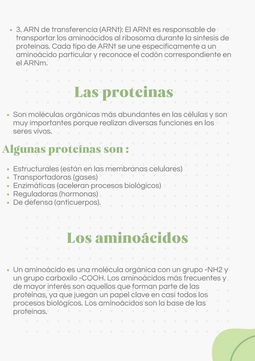ADN Y ARN ADN partes
1000
ADN
= Adenina
= Timina
= Citosina
= Guanina
Esqueleto
azucar-fosfato G
A
U
ARN partes
Bases
nitrogenadas
Columnas 