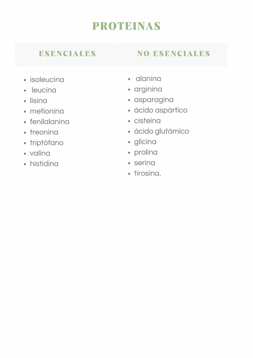 ADN Y ARN ADN partes
1000
ADN
= Adenina
= Timina
= Citosina
= Guanina
Esqueleto
azucar-fosfato G
A
U
ARN partes
Bases
nitrogenadas
Columnas 