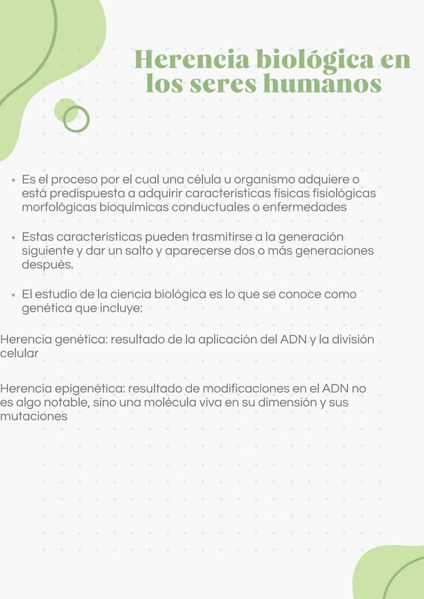 ADN Y ARN ADN partes
1000
ADN
= Adenina
= Timina
= Citosina
= Guanina
Esqueleto
azucar-fosfato G
A
U
ARN partes
Bases
nitrogenadas
Columnas 