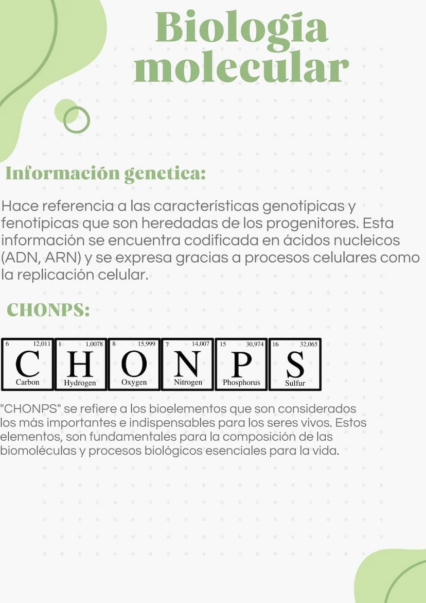 ADN Y ARN ADN partes
1000
ADN
= Adenina
= Timina
= Citosina
= Guanina
Esqueleto
azucar-fosfato G
A
U
ARN partes
Bases
nitrogenadas
Columnas 
