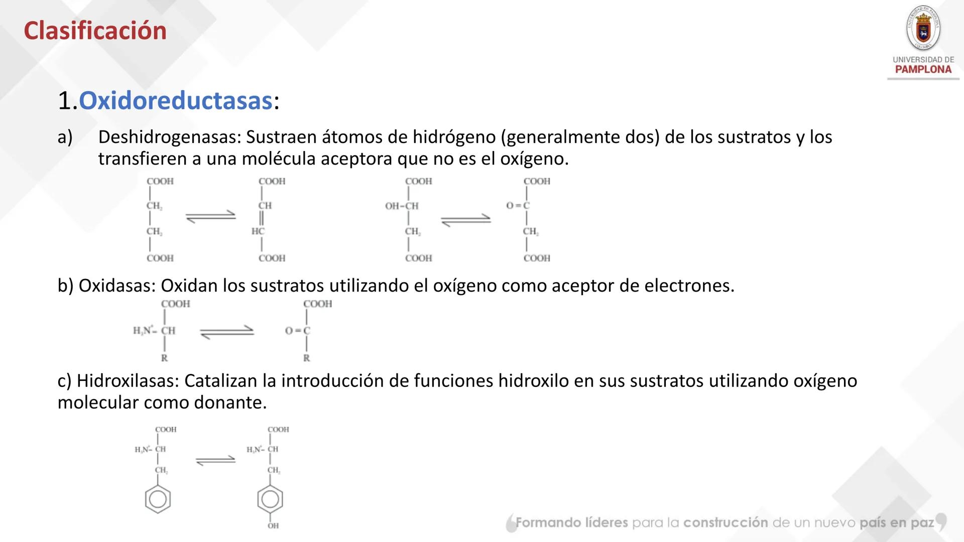 # Bioquímica Clínicaon

ENZIMOLOGÍA. Propiedades y nomenclatura, clases
de enzimas, principios generales de cinética, química
y enzimática, 