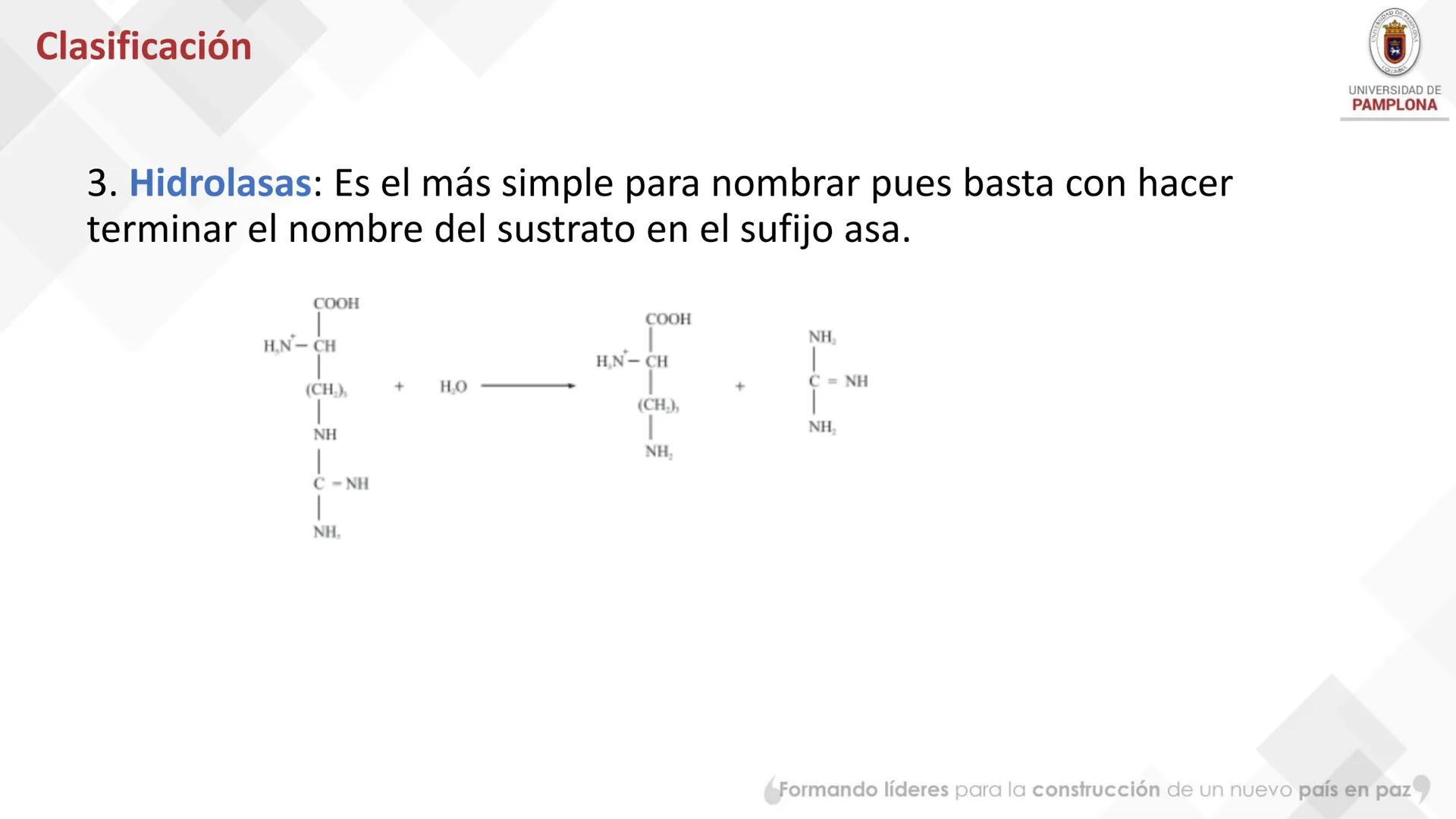 # Bioquímica Clínicaon

ENZIMOLOGÍA. Propiedades y nomenclatura, clases
de enzimas, principios generales de cinética, química
y enzimática, 