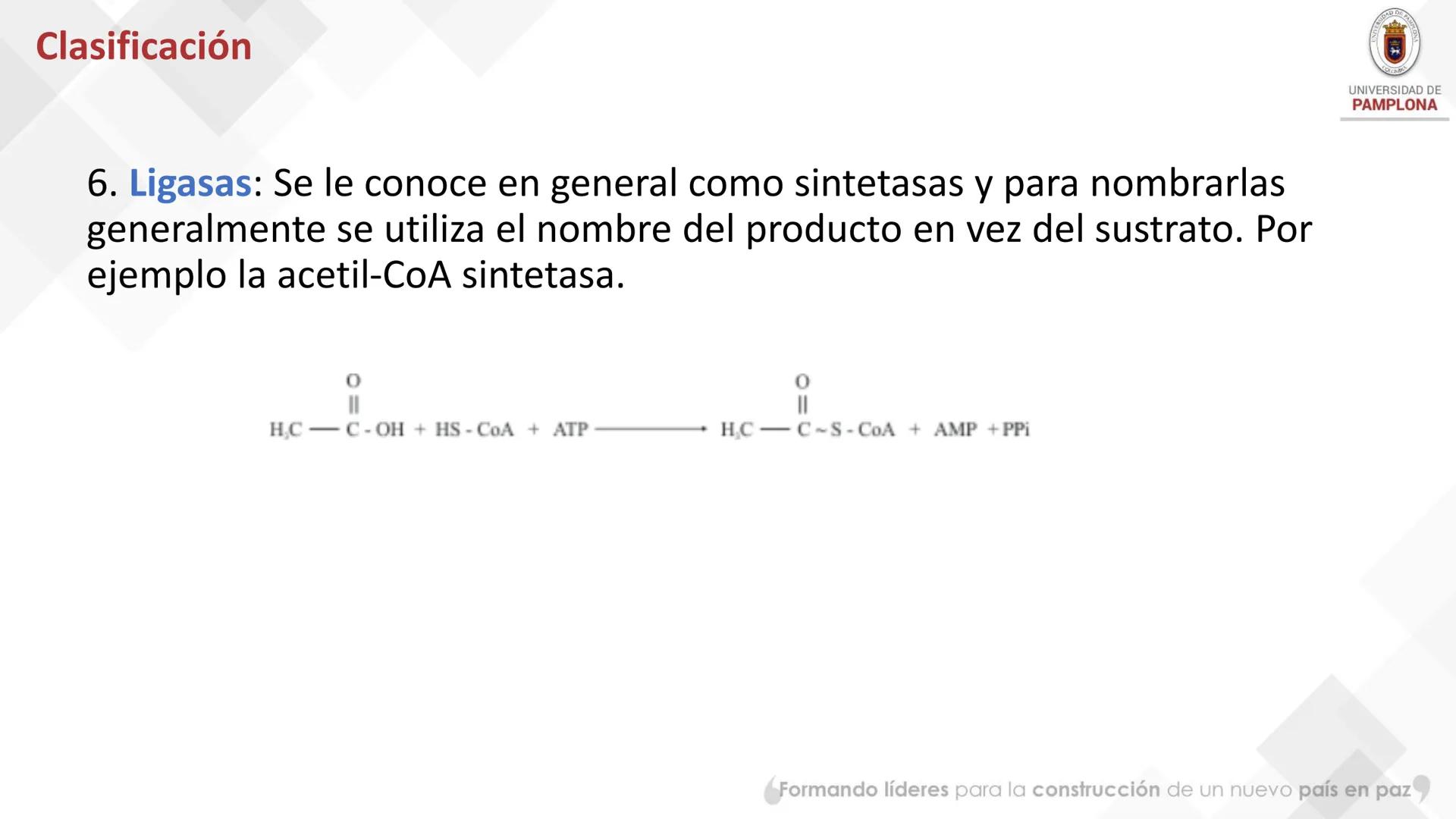 # Bioquímica Clínicaon

ENZIMOLOGÍA. Propiedades y nomenclatura, clases
de enzimas, principios generales de cinética, química
y enzimática, 