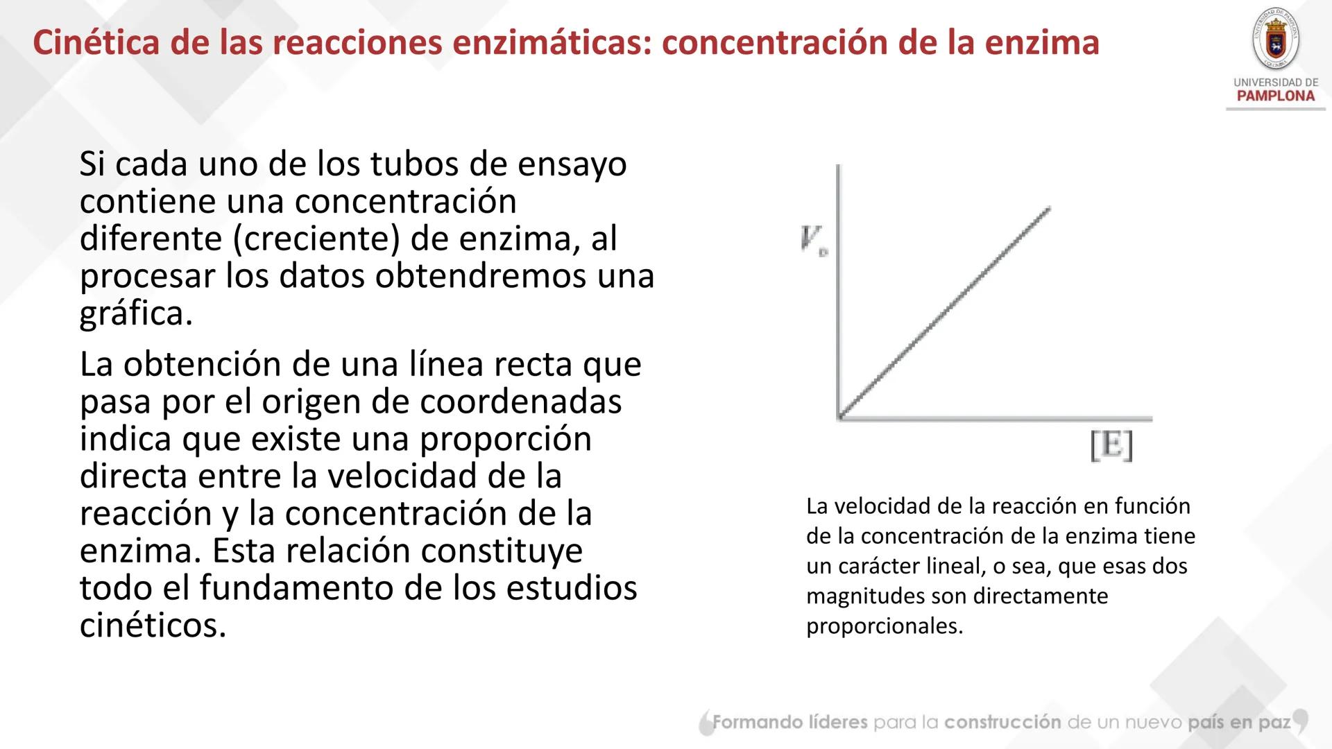# Bioquímica Clínicaon

ENZIMOLOGÍA. Propiedades y nomenclatura, clases
de enzimas, principios generales de cinética, química
y enzimática, 