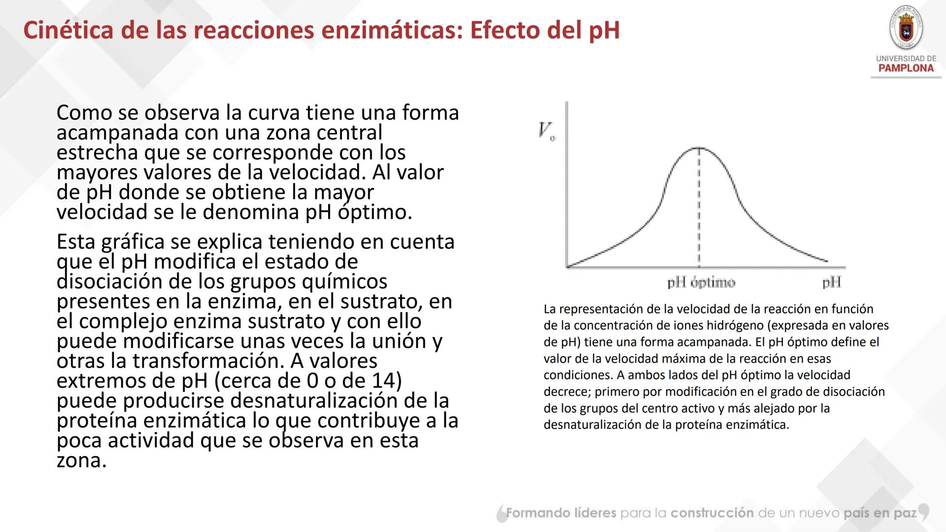 # Bioquímica Clínicaon

ENZIMOLOGÍA. Propiedades y nomenclatura, clases
de enzimas, principios generales de cinética, química
y enzimática, 