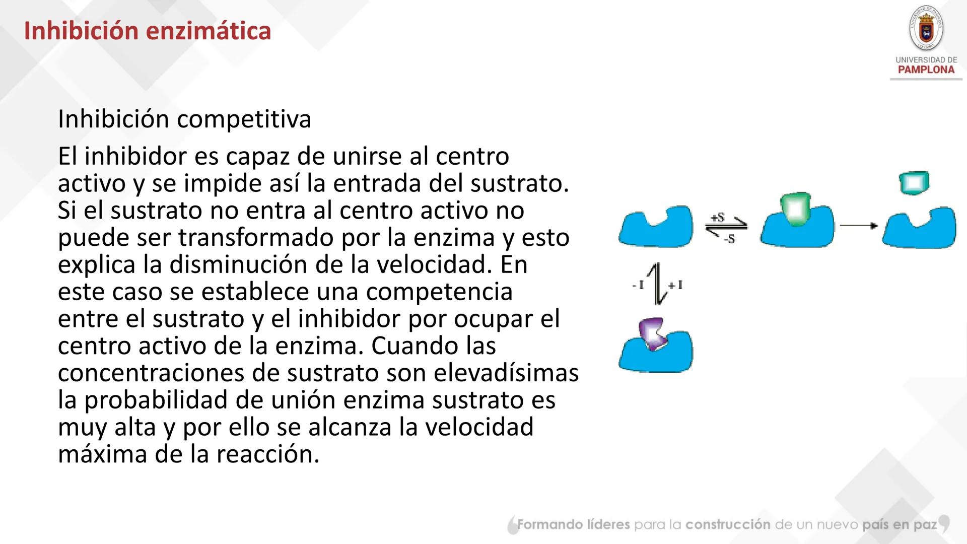 # Bioquímica Clínicaon

ENZIMOLOGÍA. Propiedades y nomenclatura, clases
de enzimas, principios generales de cinética, química
y enzimática, 