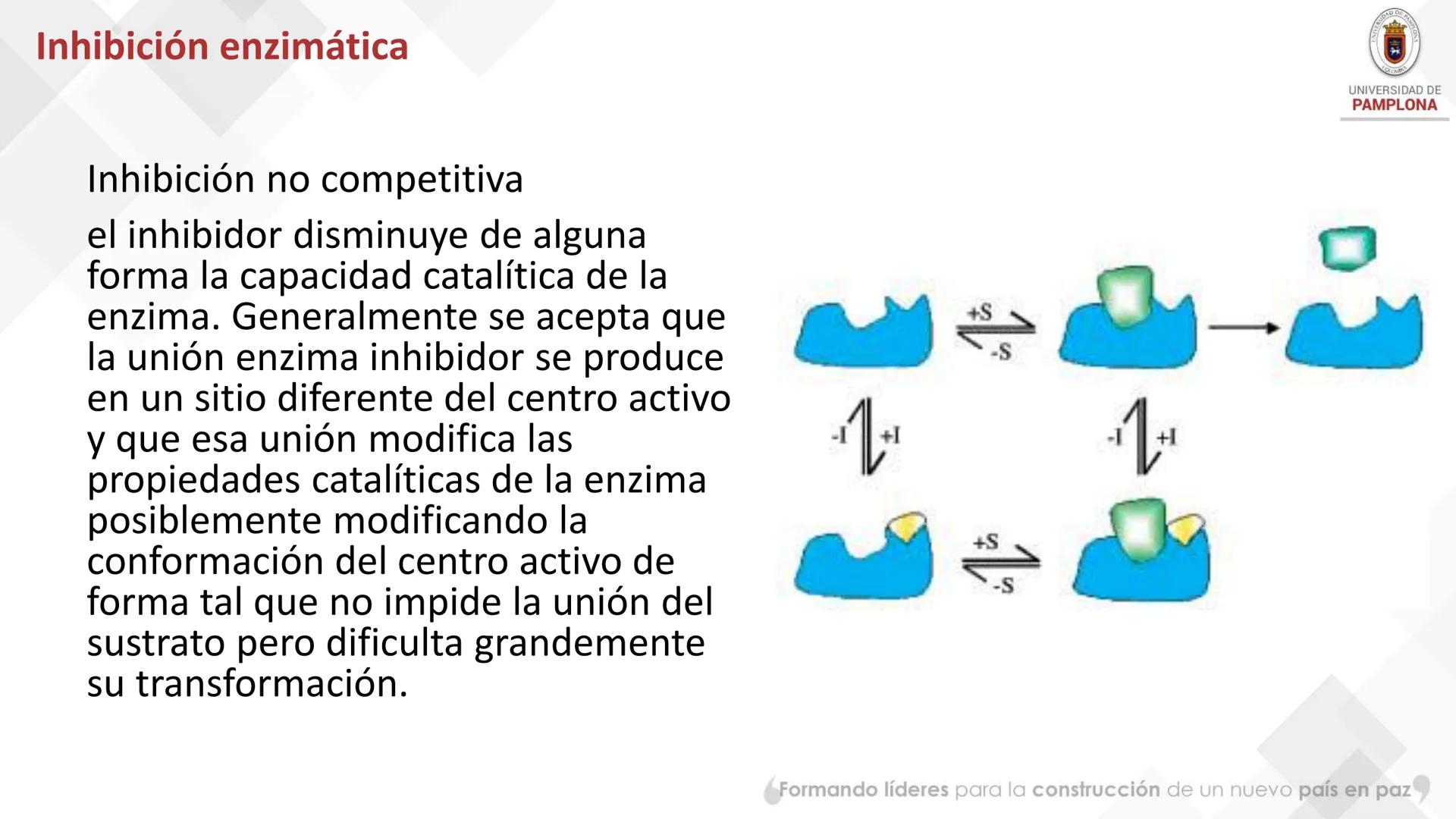 # Bioquímica Clínicaon

ENZIMOLOGÍA. Propiedades y nomenclatura, clases
de enzimas, principios generales de cinética, química
y enzimática, 