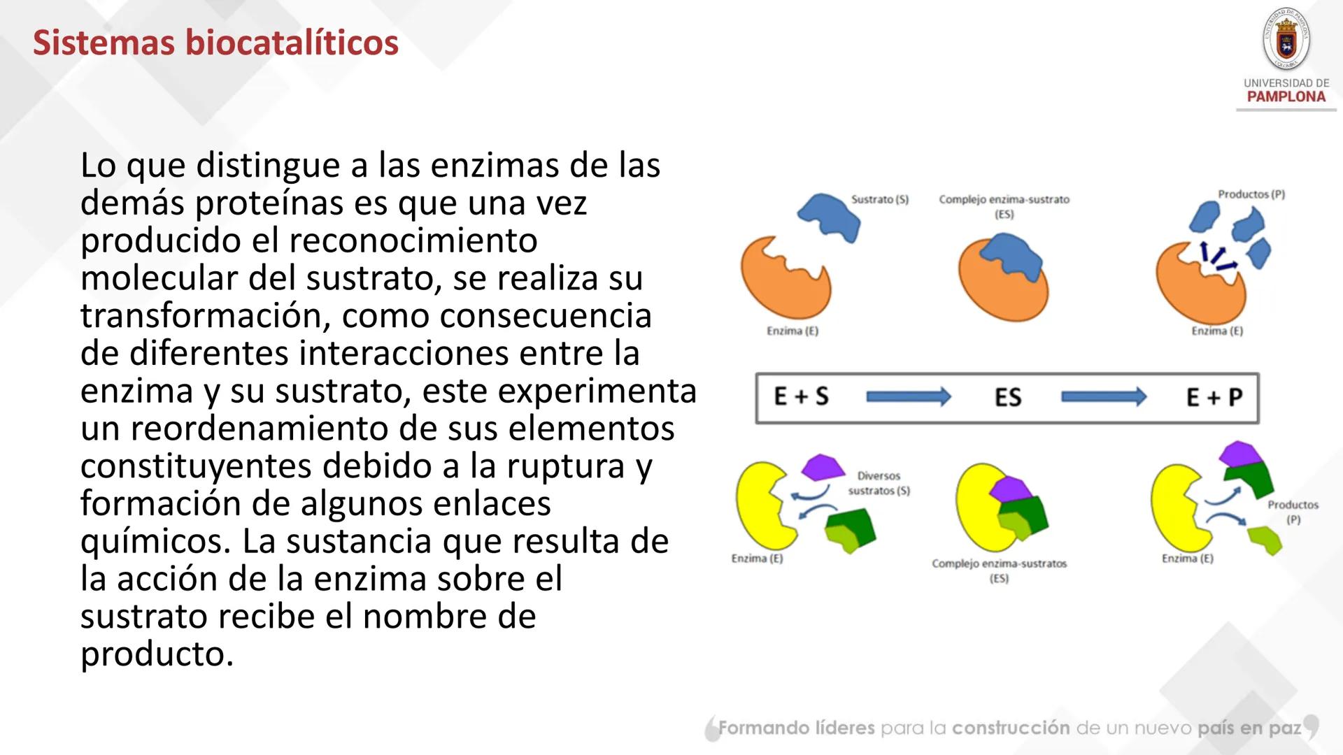 # Bioquímica Clínicaon

ENZIMOLOGÍA. Propiedades y nomenclatura, clases
de enzimas, principios generales de cinética, química
y enzimática, 