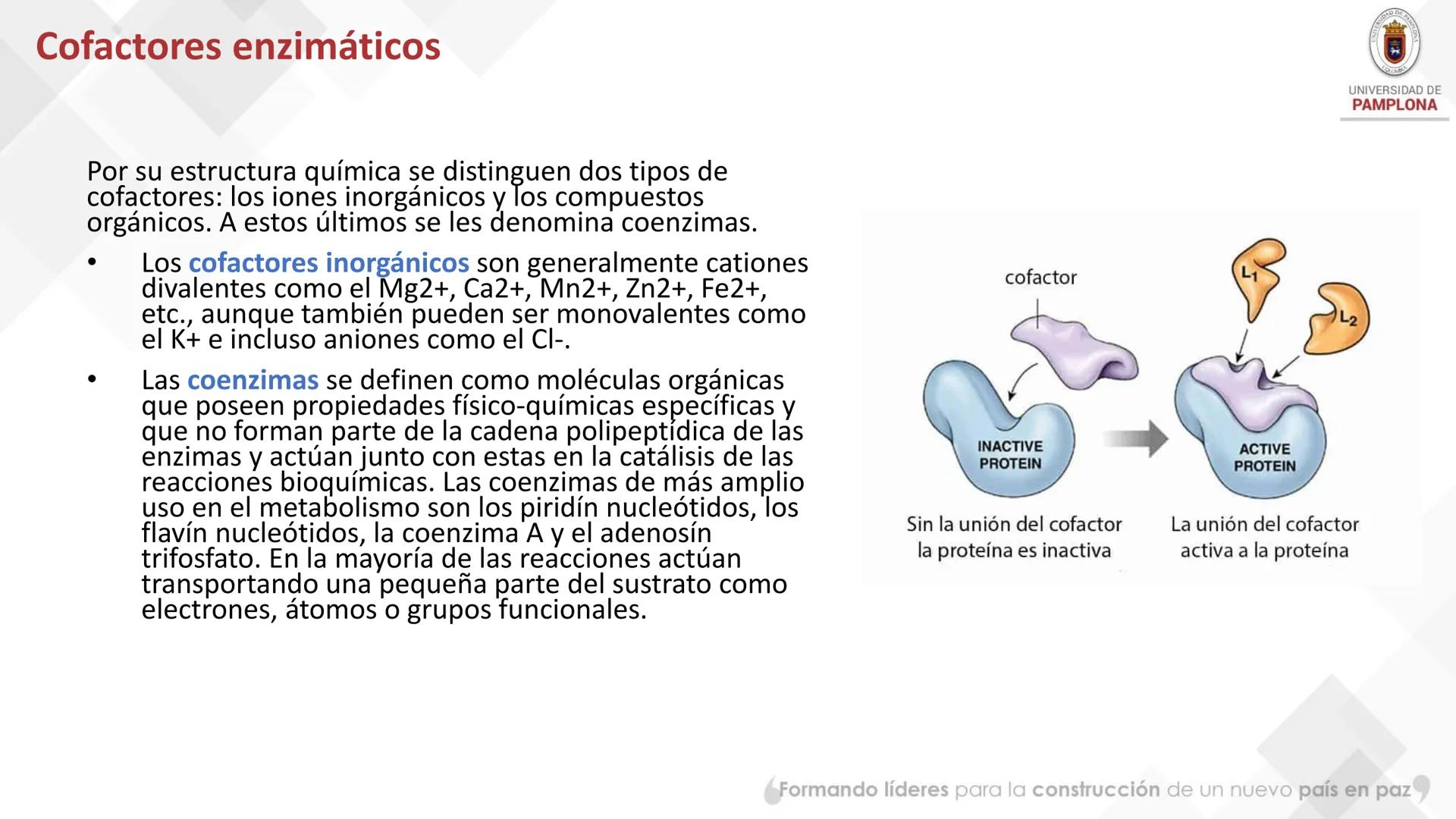 # Bioquímica Clínicaon

ENZIMOLOGÍA. Propiedades y nomenclatura, clases
de enzimas, principios generales de cinética, química
y enzimática, 