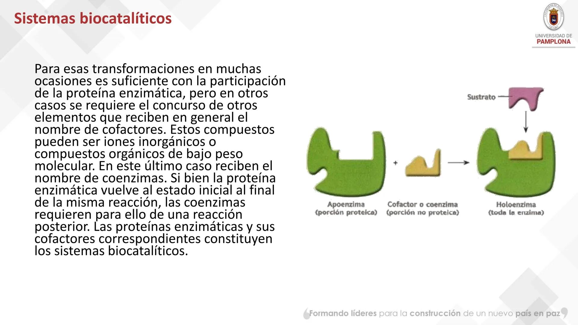# Bioquímica Clínicaon

ENZIMOLOGÍA. Propiedades y nomenclatura, clases
de enzimas, principios generales de cinética, química
y enzimática, 