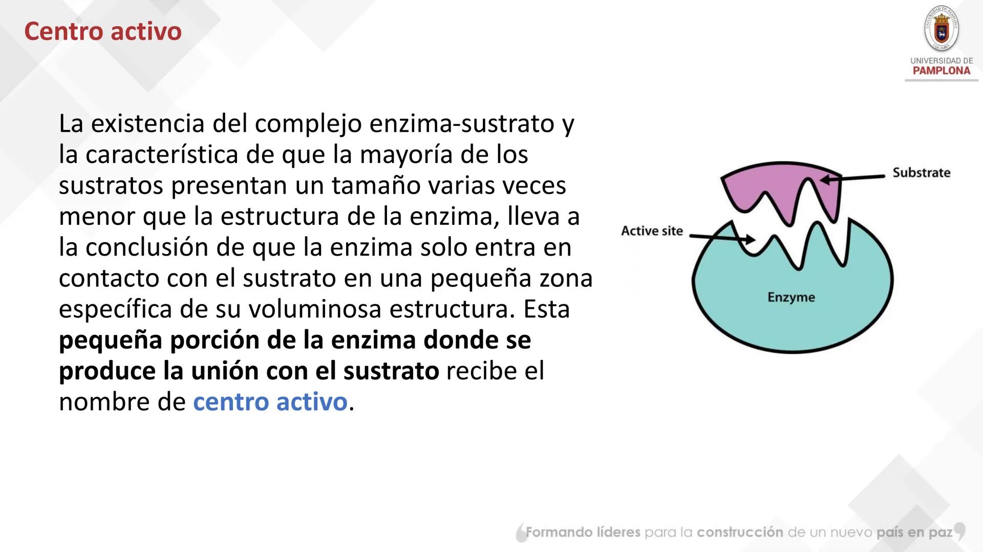 # Bioquímica Clínicaon

ENZIMOLOGÍA. Propiedades y nomenclatura, clases
de enzimas, principios generales de cinética, química
y enzimática, 