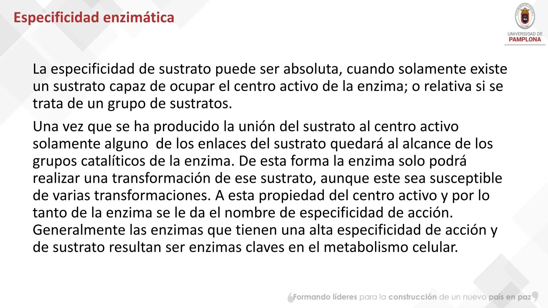 # Bioquímica Clínicaon

ENZIMOLOGÍA. Propiedades y nomenclatura, clases
de enzimas, principios generales de cinética, química
y enzimática, 