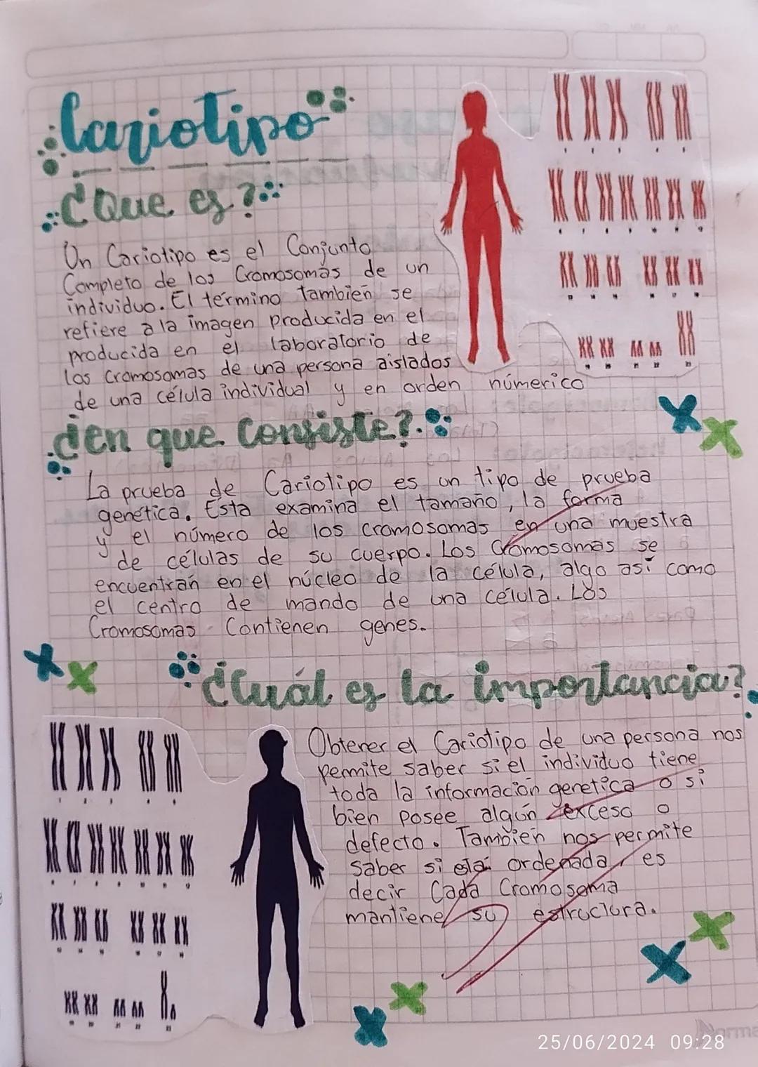·lariotipo
·C Que es ?...
Un Cariotipo es el Conjunto
Completo de los Cromosomas de un
individuo. El término tambien se
el
refiere a la imag