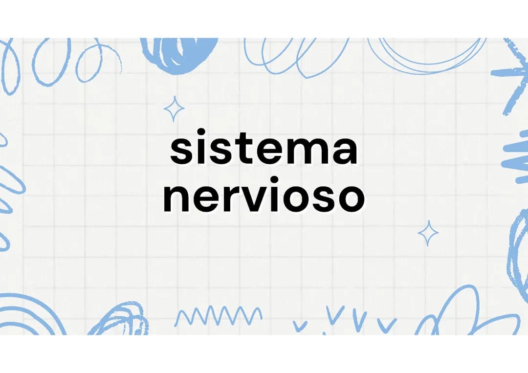 sistema nervioso