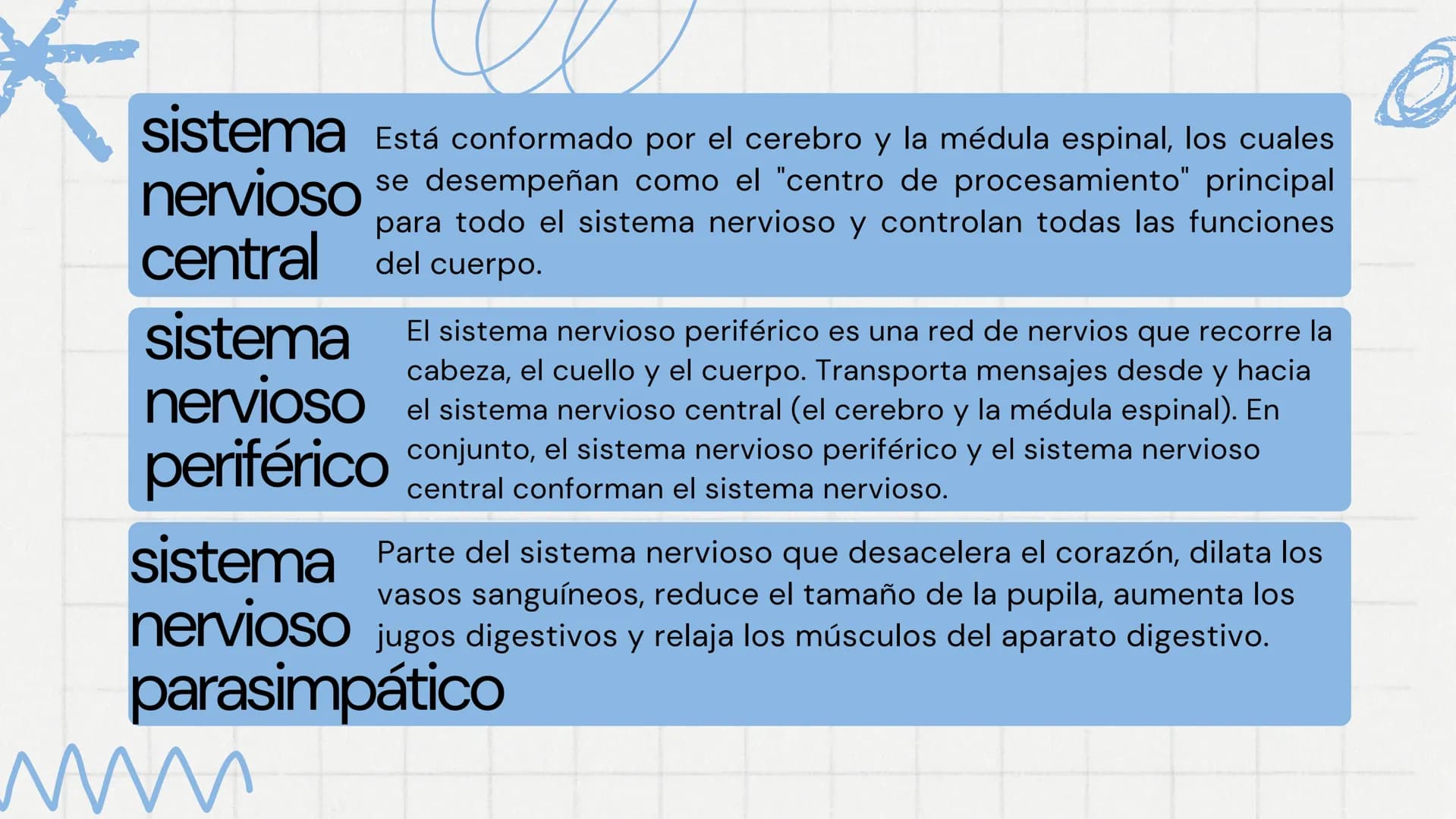 sistema
nervioso
www
VVV ¿Qué es el sistema
nervioso?
El sistema nervioso transmite señales entre
el cerebro y el resto del cuerpo, incluido