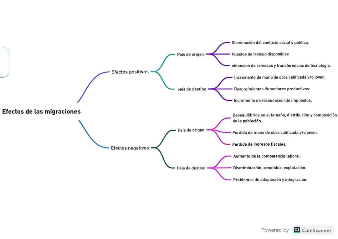Impactos de las Migraciones: Perspectiva Positiva y Negativa