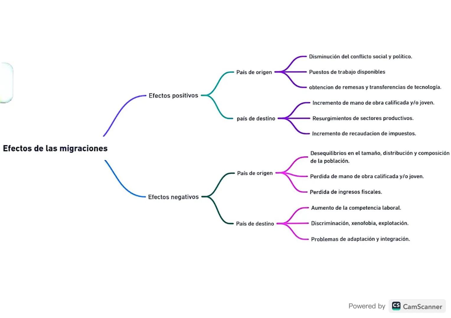Efectos de las migraciones
Efectos positivos
Efectos negativos
País de origen
Disminución del conflicto social y político.
Puestos de trabaj