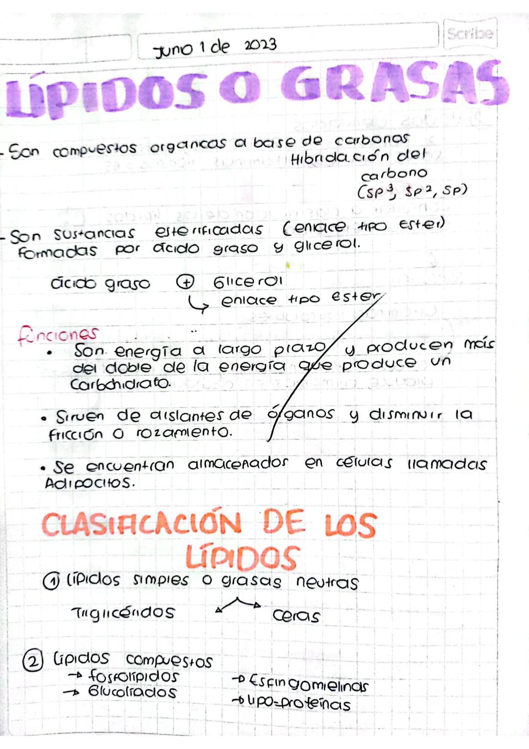 Juno 1 de 2023
Scribe
# LIPIDOS O GRASAS
- Son compuestos organicas a base de carbonas
Hibridación del
carbono
(SP3, SP2, SP)
-Son sustancia