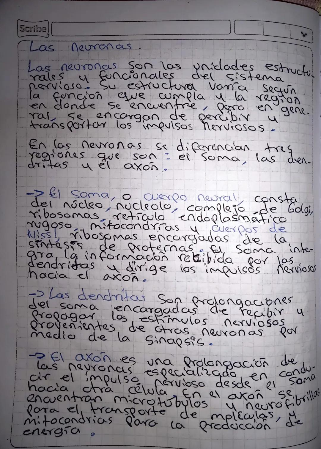 El sistema nervioso
29-05-24
El Sistema nervioso reúne las estructuras
interpreta animales est encargadas ambiente,
de los de
Procesar la in