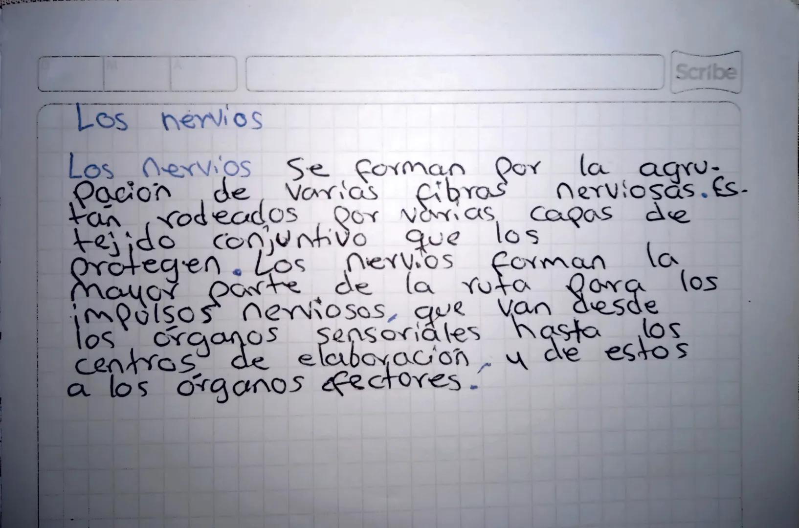 El sistema nervioso
29-05-24
El Sistema nervioso reúne las estructuras
interpreta animales est encargadas ambiente,
de los de
Procesar la in