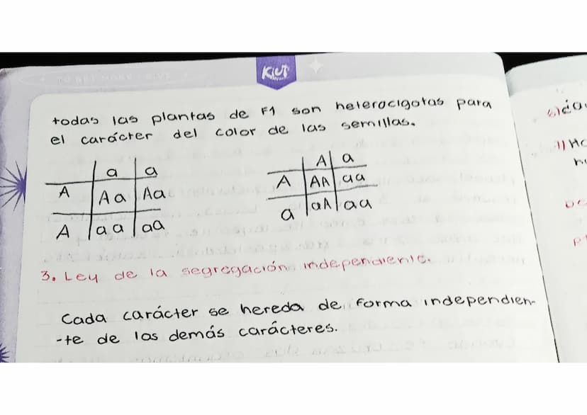 Los
na
14103123 0
Leyes
de Mendel..
Robot
en
3
principios
га
-te se
conocen. como
Mendel sacó importantes conclusiones que
resumió
actualmen