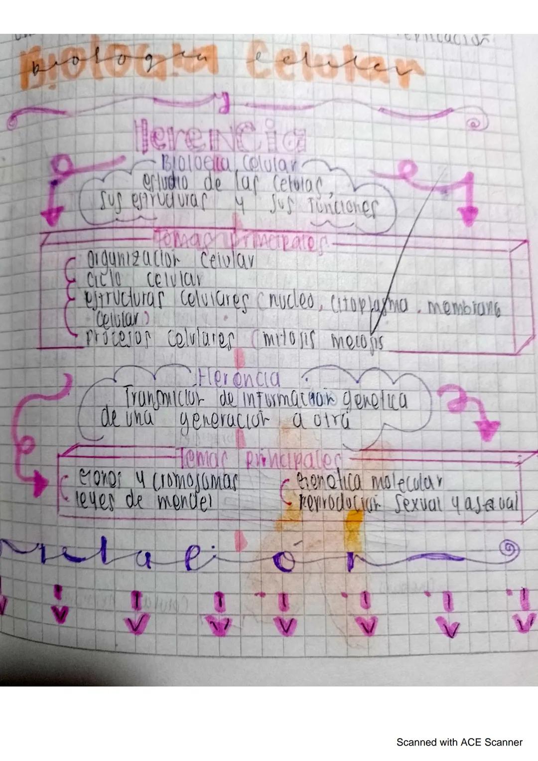 pologia teluken
Herencia
Bioloela, Celular
erludio de lar Cetolac
sus estructuras y Jus Tunciones
домастри истратор
Organizacion Celular
Cic