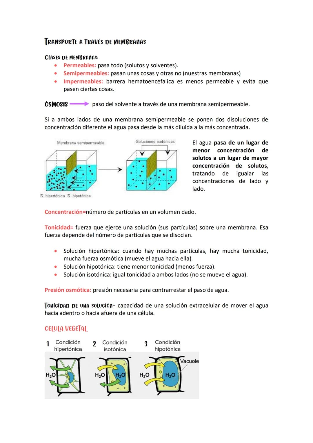 SOLUCIONES/CONCENTRACIONES- 8 DE ABRIL DE 2021
Todos los organismos vivos de la tierra dependen del agua y pueden presentar dos
fenómenos: d
