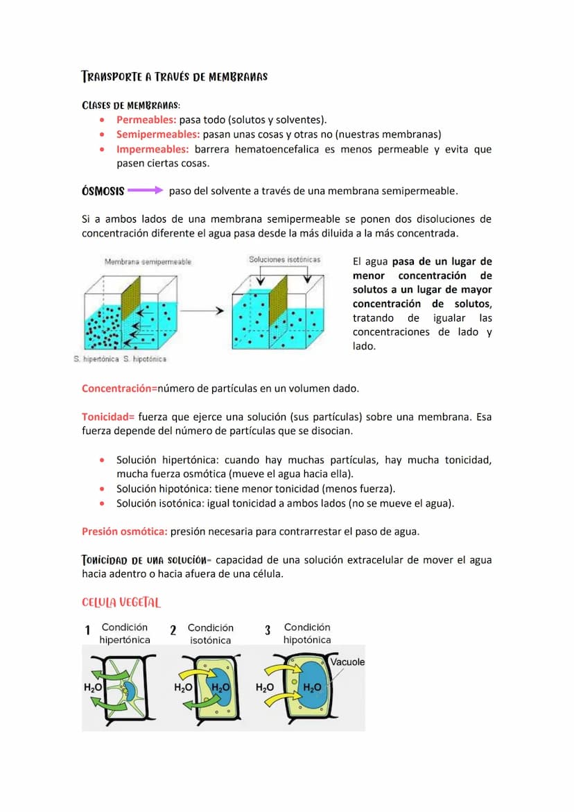 SOLUCIONES/CONCENTRACIONES- 8 DE ABRIL DE 2021
Todos los organismos vivos de la tierra dependen del agua y pueden presentar dos
fenómenos: d