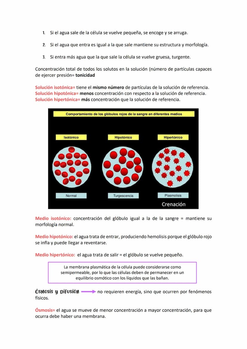 SOLUCIONES/CONCENTRACIONES- 8 DE ABRIL DE 2021
Todos los organismos vivos de la tierra dependen del agua y pueden presentar dos
fenómenos: d