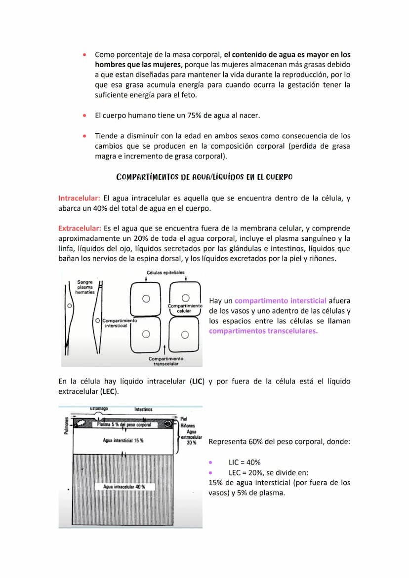 SOLUCIONES/CONCENTRACIONES- 8 DE ABRIL DE 2021
Todos los organismos vivos de la tierra dependen del agua y pueden presentar dos
fenómenos: d