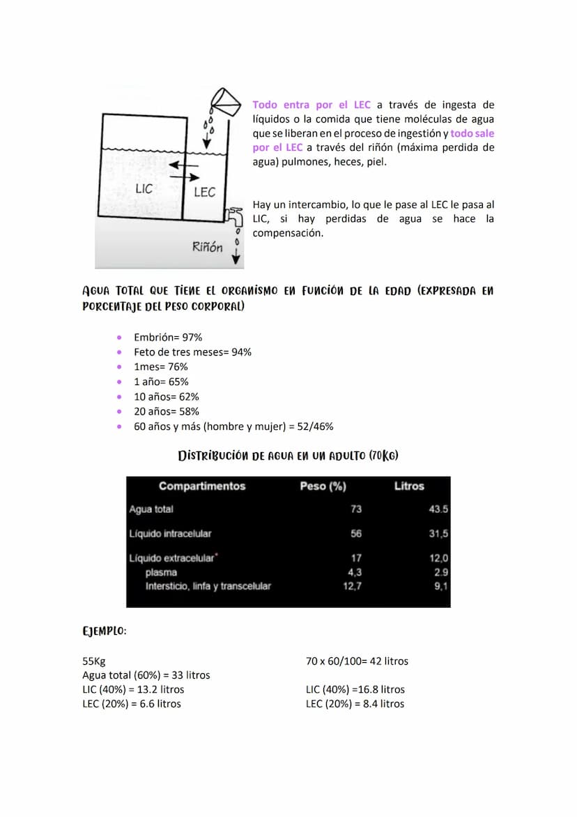 SOLUCIONES/CONCENTRACIONES- 8 DE ABRIL DE 2021
Todos los organismos vivos de la tierra dependen del agua y pueden presentar dos
fenómenos: d