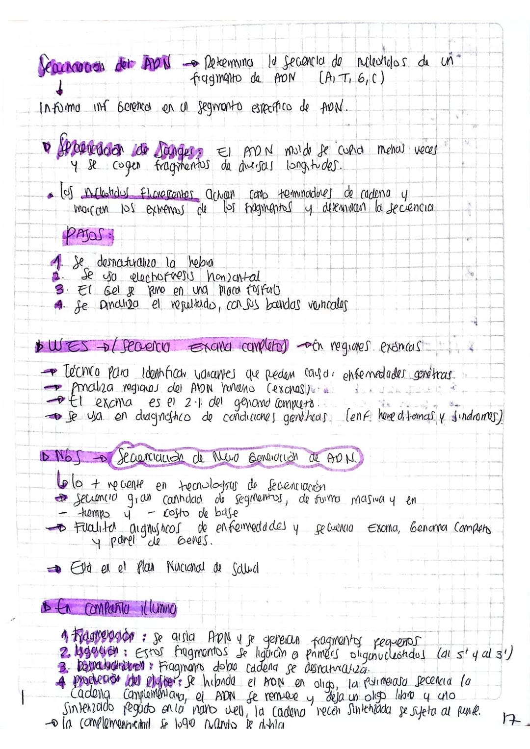 Seacmocion der ADN Determina la fecencia de melevtidos de in"
↓
fragmanto de AON
(A, T. 6,C)
Informa inf berenca en on segmento especifico d